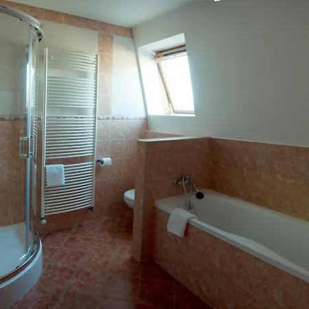 Apartment Apartman Na Kopecku Bila Tremesna